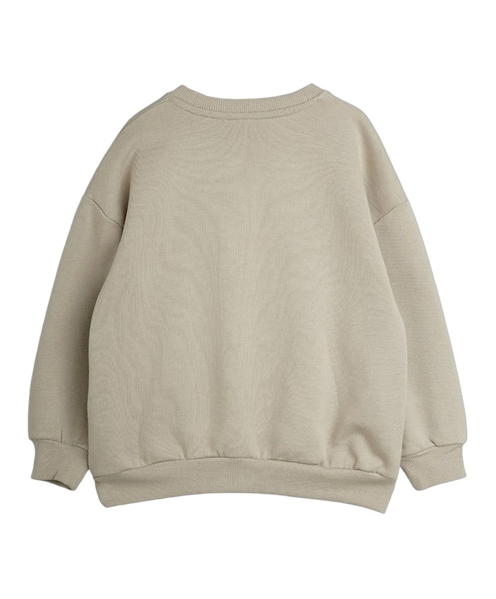 Jongens sweater grijs