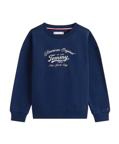 Sweater blauw