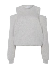 Dames sweater grijs