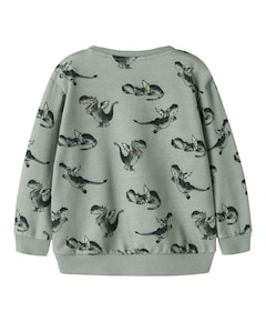 Jongens sweater groen