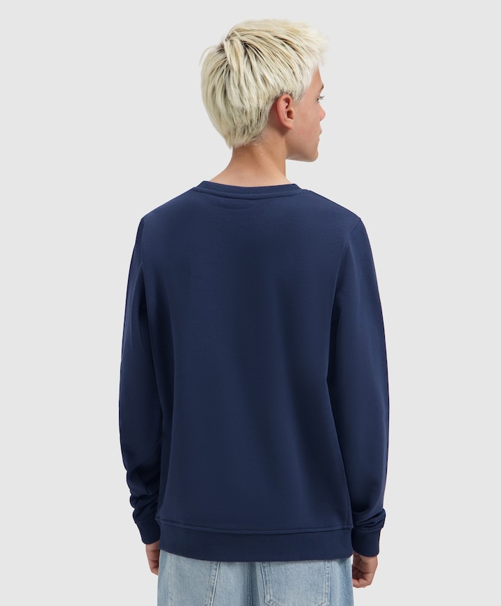 Jongens sweater blauw
