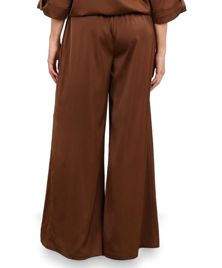 June Shiny dames broek bruin
