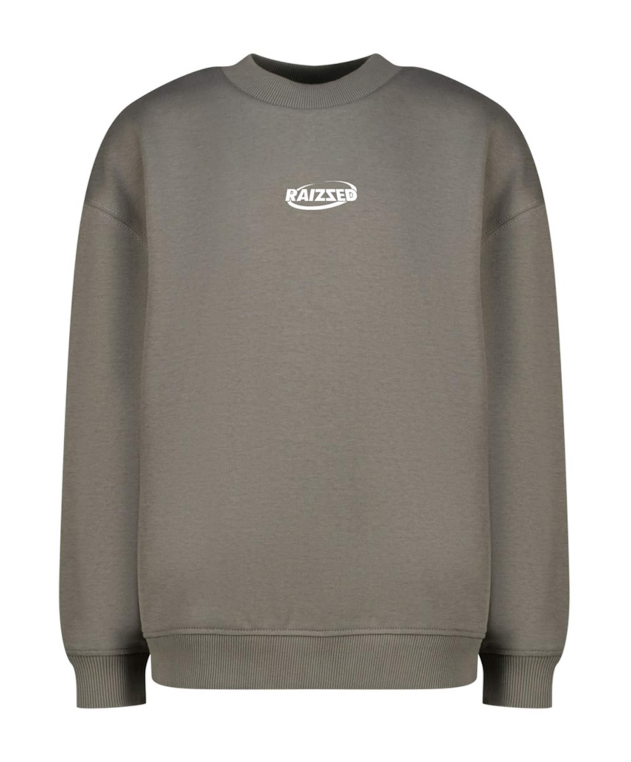 Jongens sweater grijs