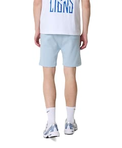 Striped signature shorts heren korte broek blauw