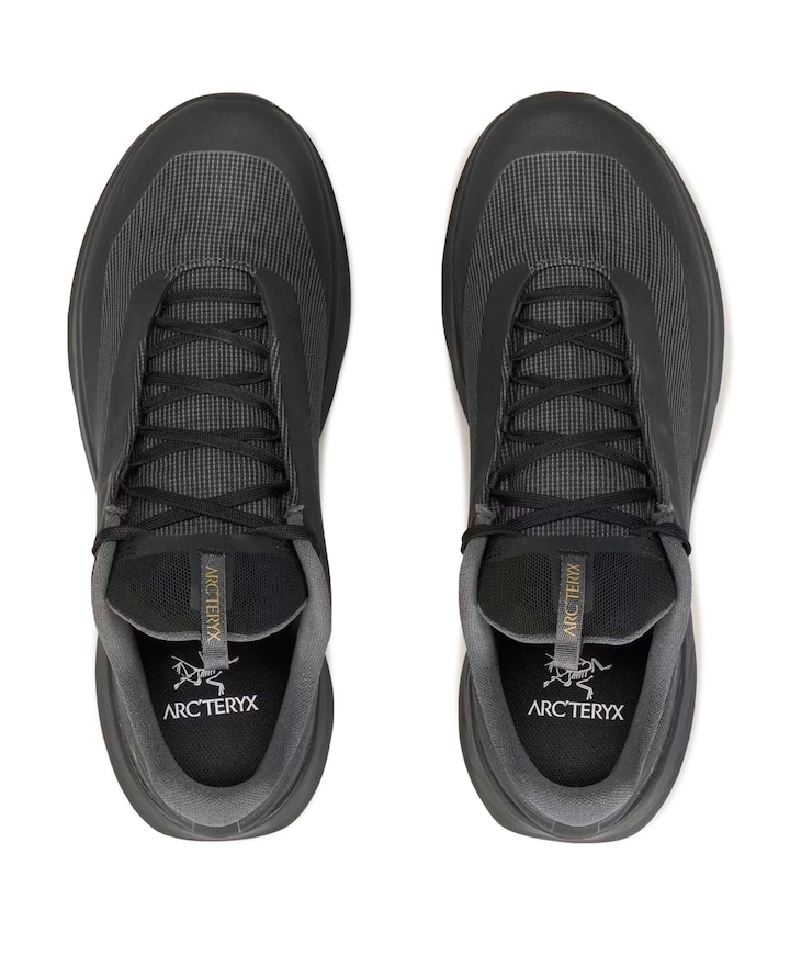 NORVAN LD 4 GTX MEN heren wandelschoenen zwart