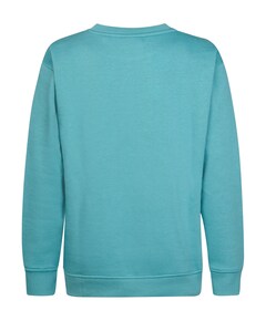 Jongens sweater blauw