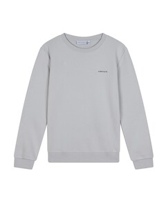 Jongens sweater grijs