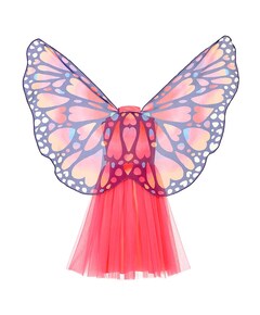 Meisjes Papillon Jurk +  vleugels