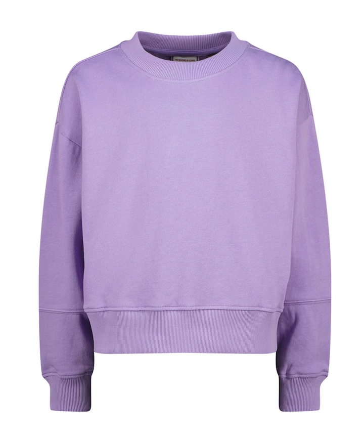 Sweater paars