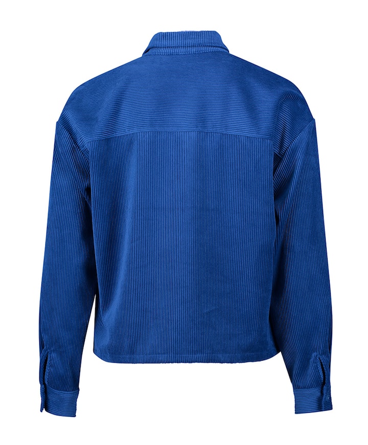 Dames blouse blauw