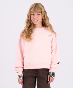 Meisjes sweater roze
