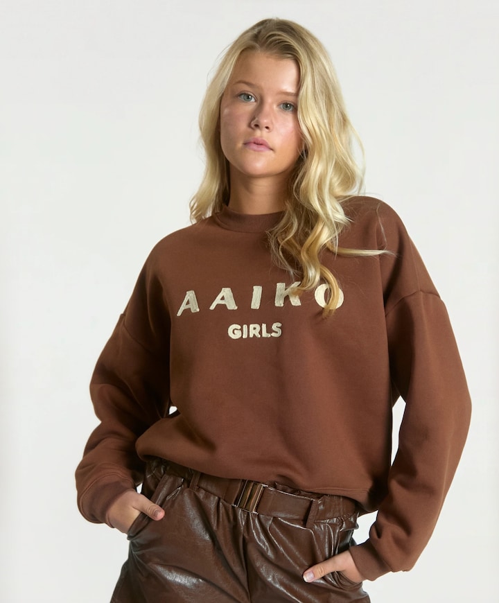 Meisjes sweater bruin