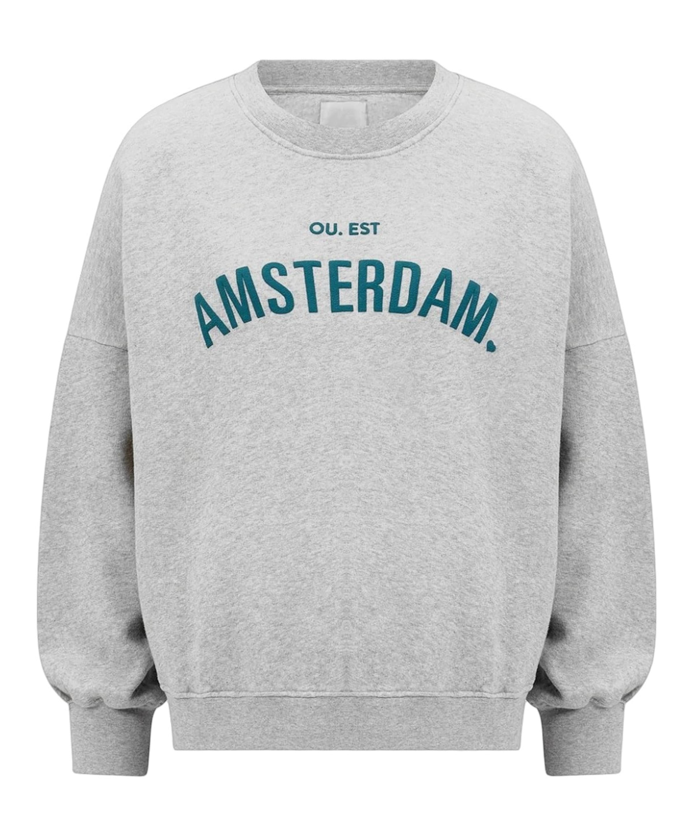 Dames sweater grijs