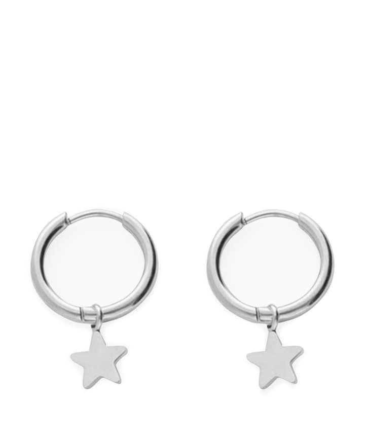 Dames oorbellen zilver