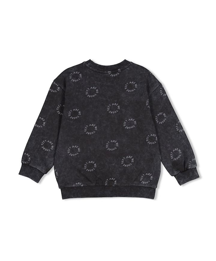 Jongens sweater grijs