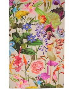 Dames sjaal multicolor