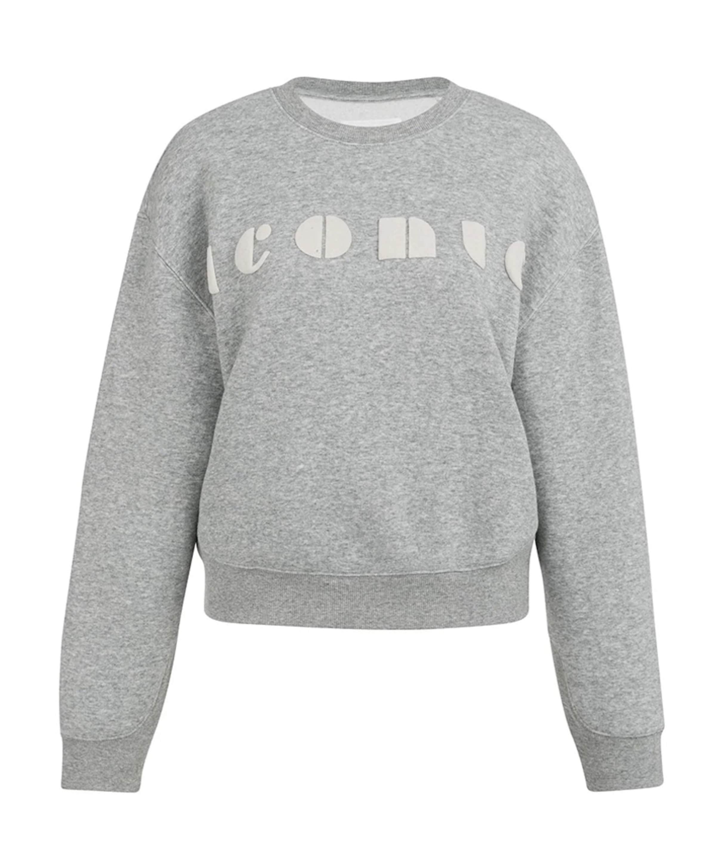 Dames sweater grijs