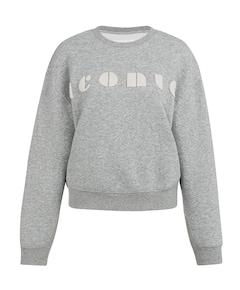 Dames sweater grijs