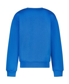 Sweater blauw