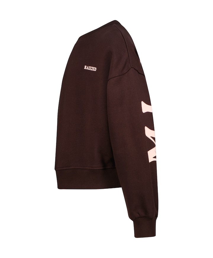 Meisjes sweater bruin