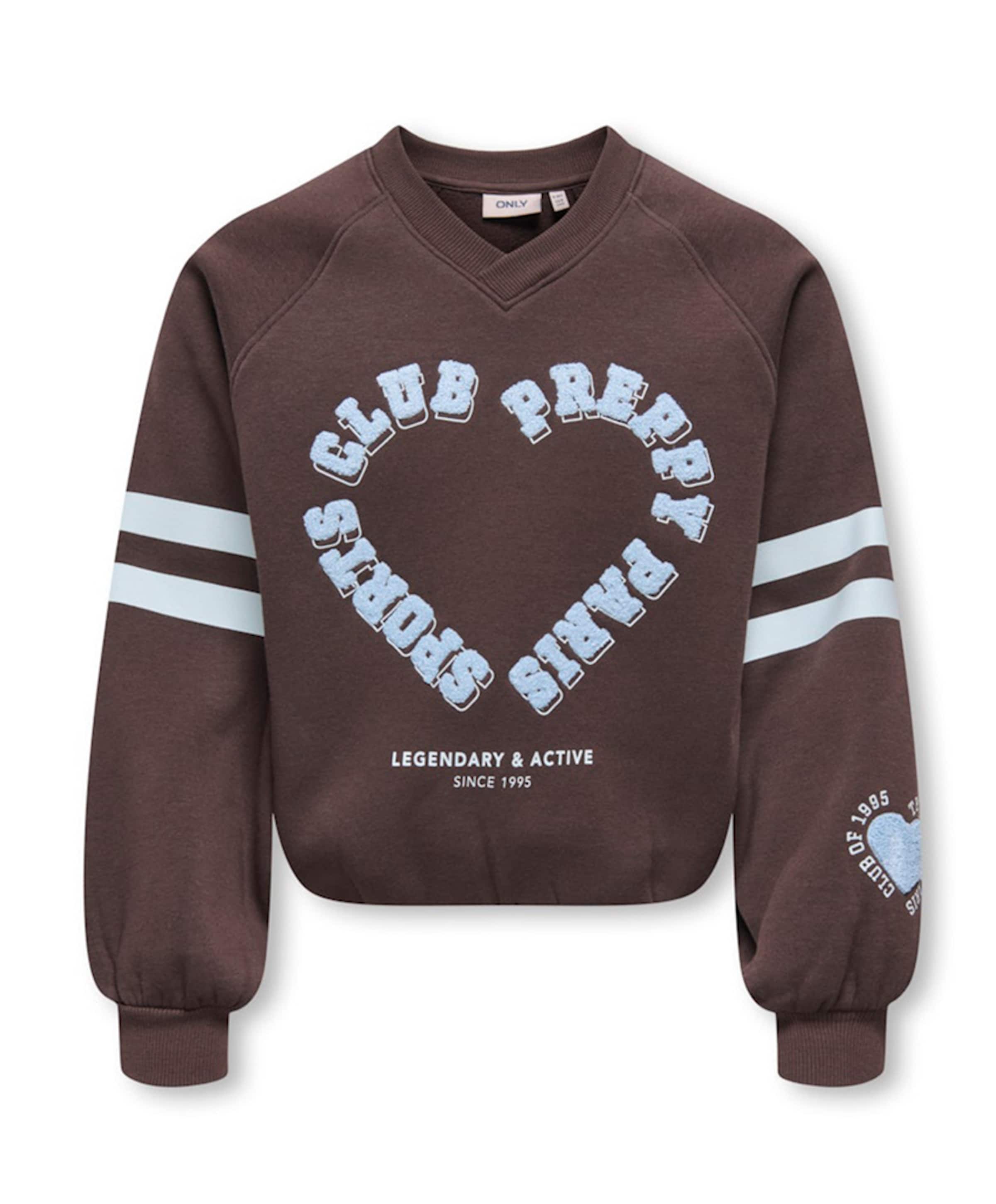 Meisjes sweater bruin