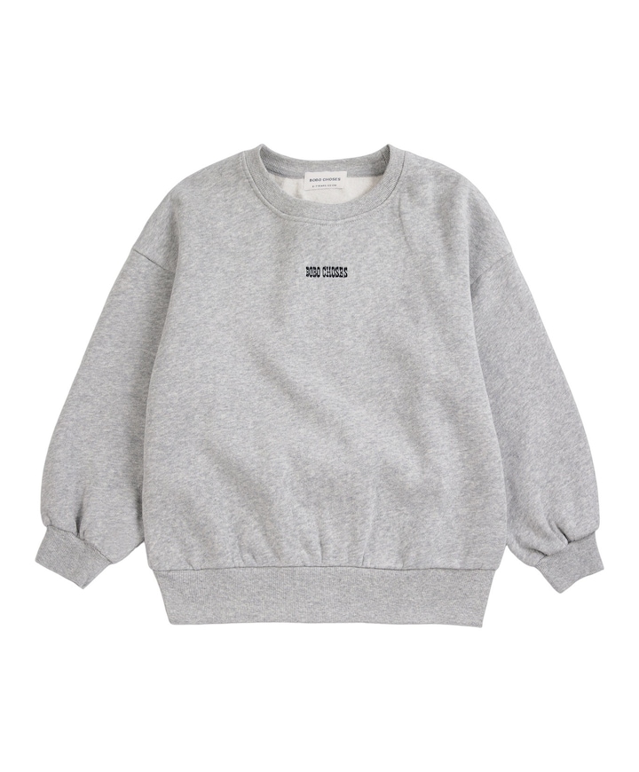 Jongens sweater grijs