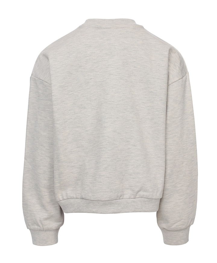 Meisjes sweater grijs