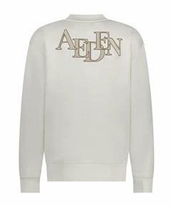 Heren sweater ecru
