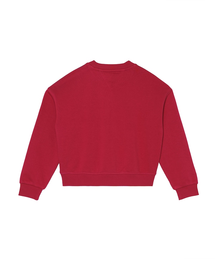 Sweater rood