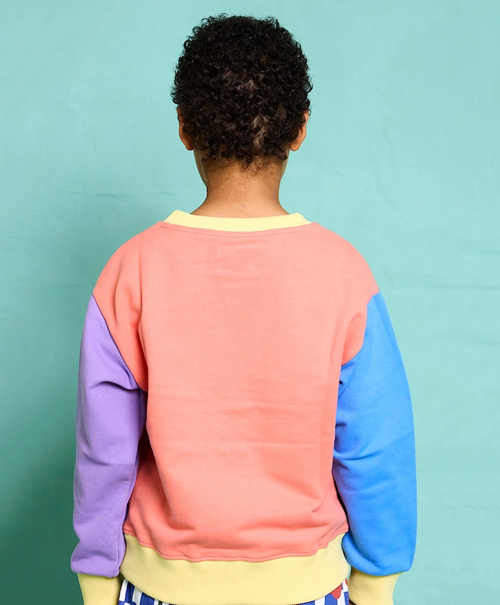 Uniseks sweater  multicolor