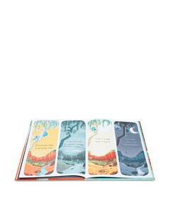 Boek Laat maar los Koala