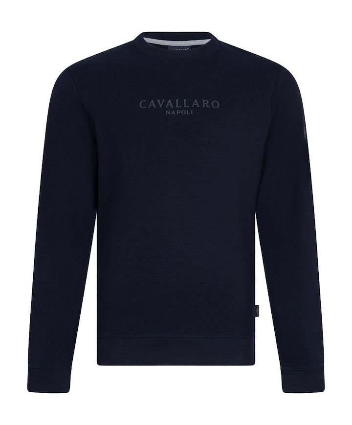 Heren sweater blauw