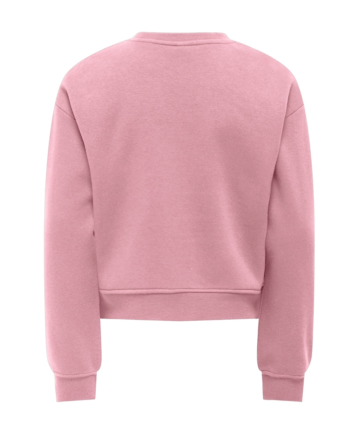 Meisjes sweater roze