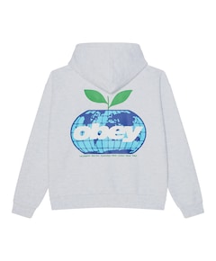 Heren hoodie grijs