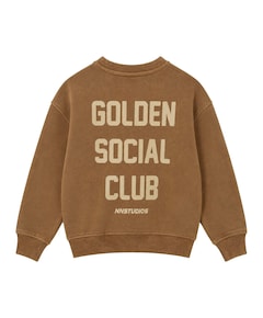 Jongens sweater bruin