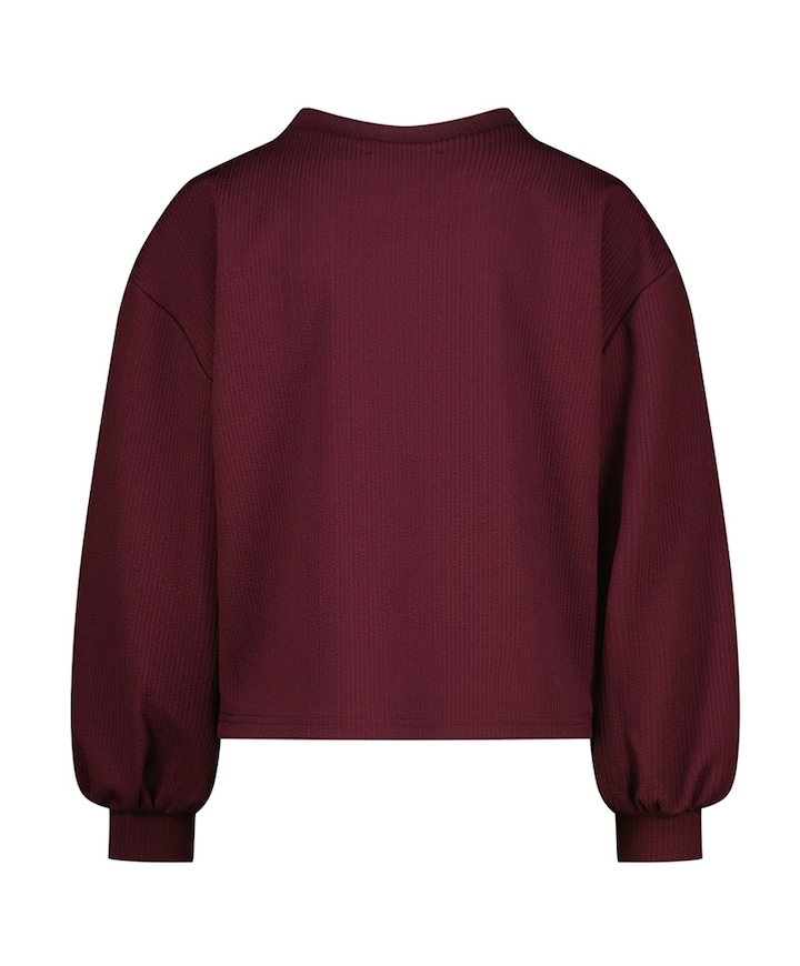 Longsleeve bordeaux