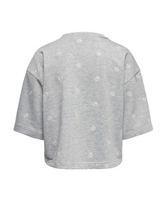 Dames sweater grijs