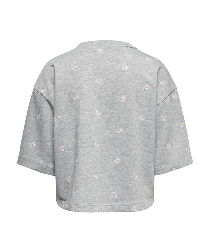 Dames sweater grijs