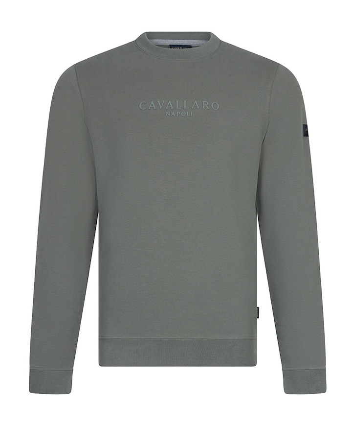 Heren sweater groen