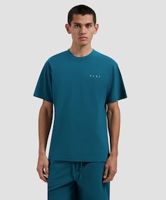 Heren T-shirt blauw