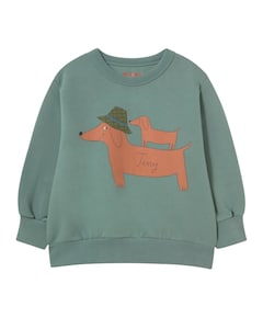 Jongens sweater blauw