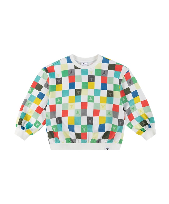Sweater  multicolor