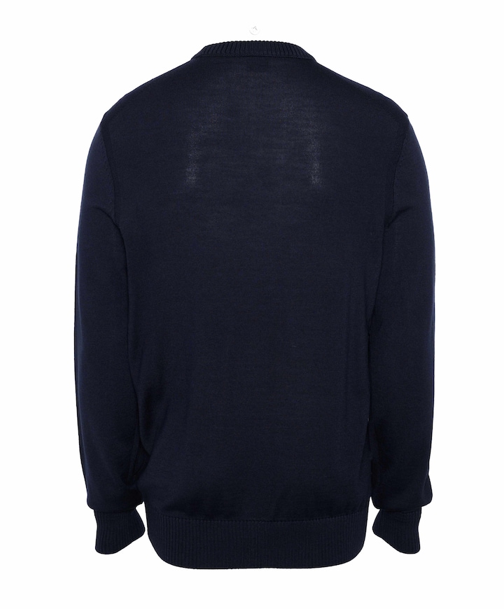 Heren trui blauw