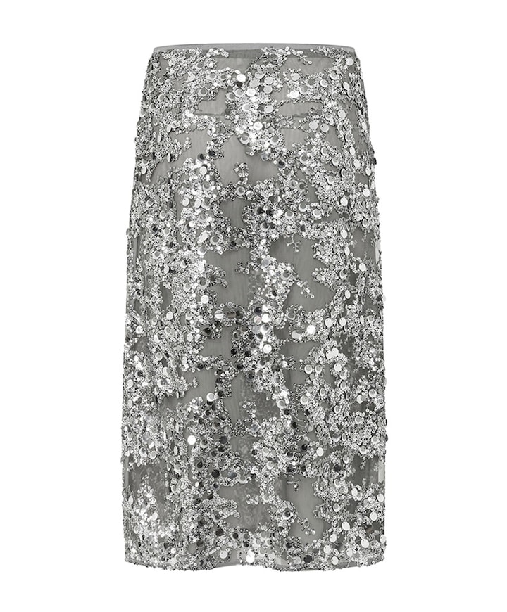 Dames rok zilver