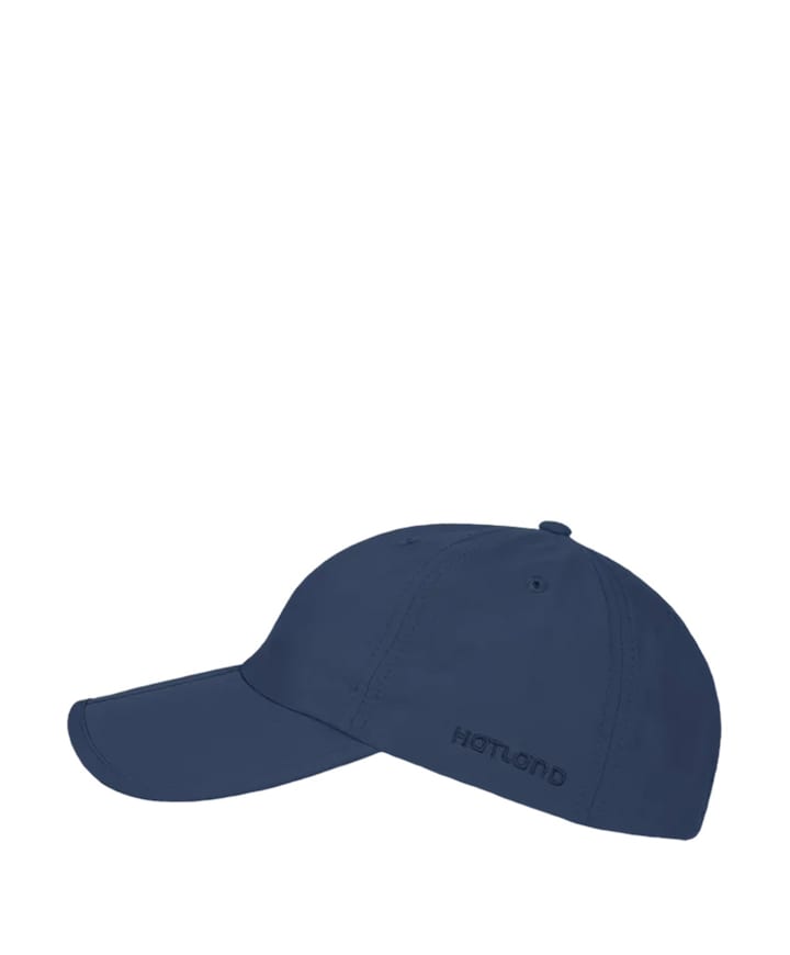 Heren hoofdaccessoire blauw