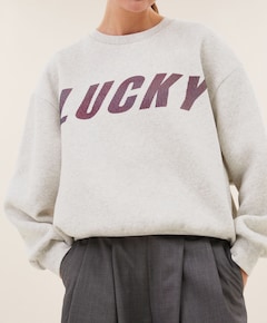 Dames sweater grijs