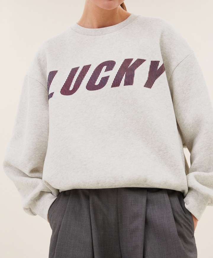 Dames sweater grijs