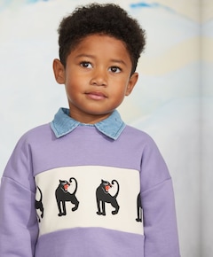 Jongens sweater paars