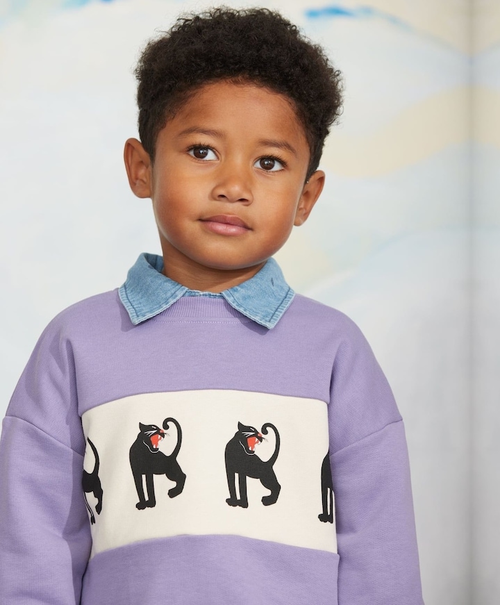 Jongens sweater paars