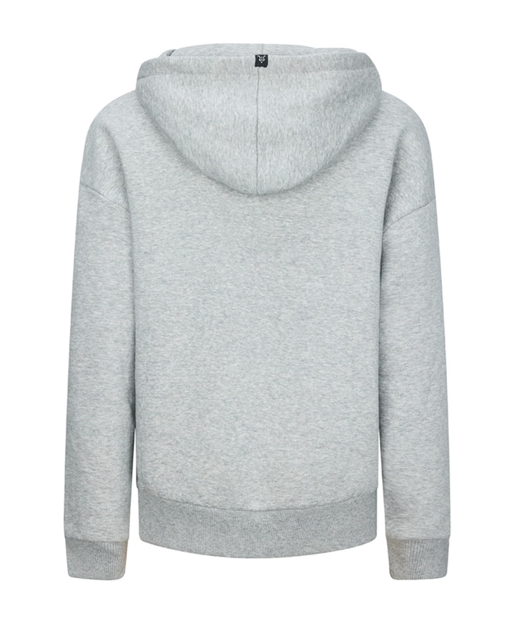 Jongens hoodie grijs